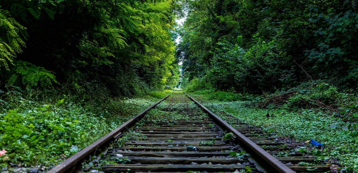 Wholesale railroad transport – advantages and disadvantages