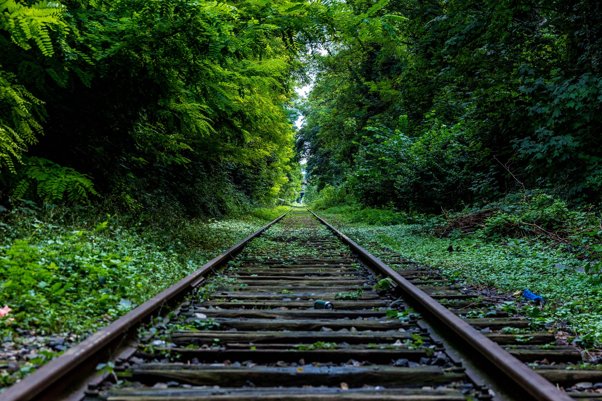 Wholesale railroad transport – advantages and disadvantages